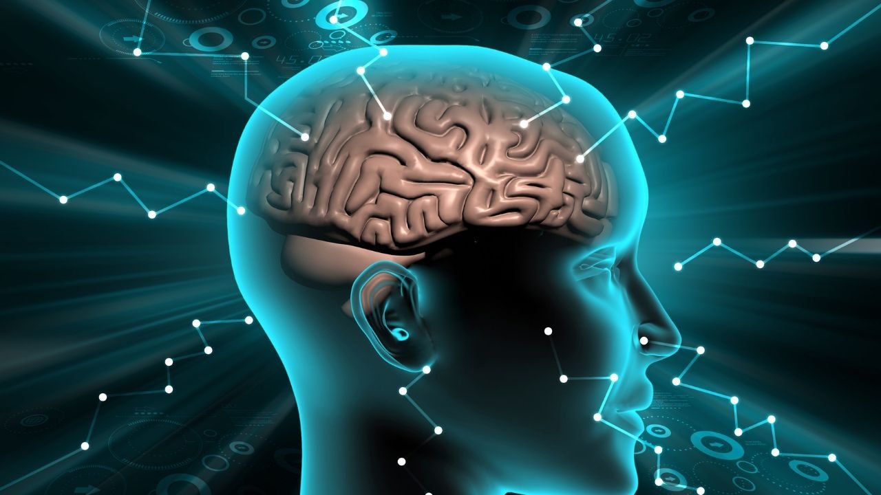 Self-Programming Frameworks
